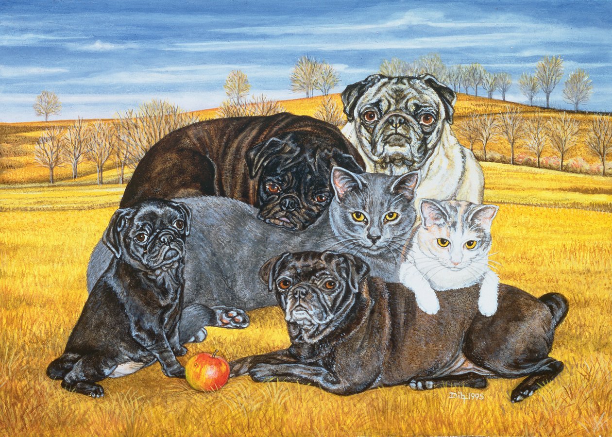 Hocking County Pug-Cats, 1995 autorstwa Ditz