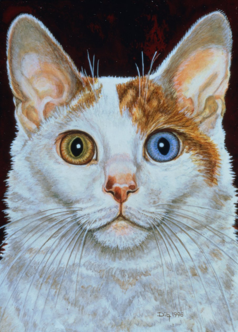 Minette, 1996 (akryl na panelu) autorstwa Ditz