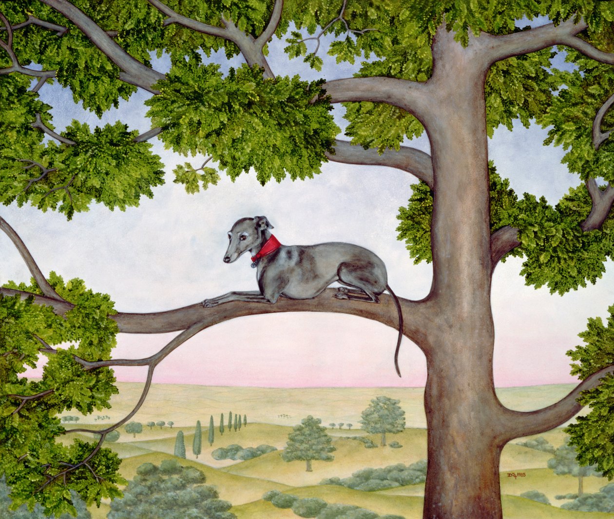 Whippet z drzewa autorstwa Ditz
