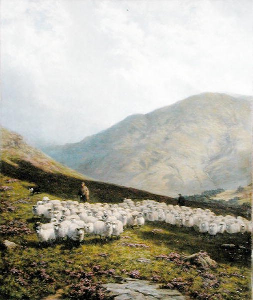 Pasterz i owce, Perthshire (olej na płótnie) autorstwa Dixon Clark