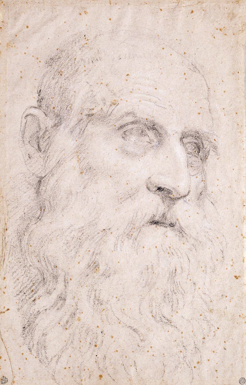 Głowa św. Hieronima autorstwa Domenichino