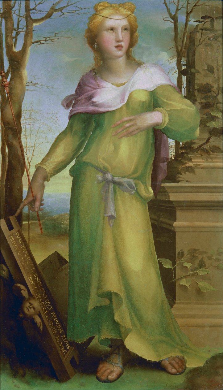 Tanaquil, ok.1520-25 (olej na drewnie) autorstwa Domenico di Pace Beccafumi  