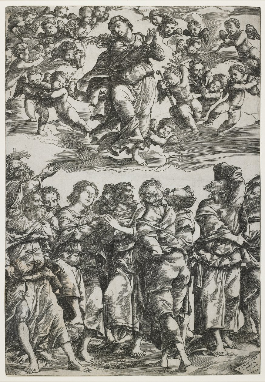 Wniebowzięcie NMP, 1517 autorstwa Domenico Campagnola