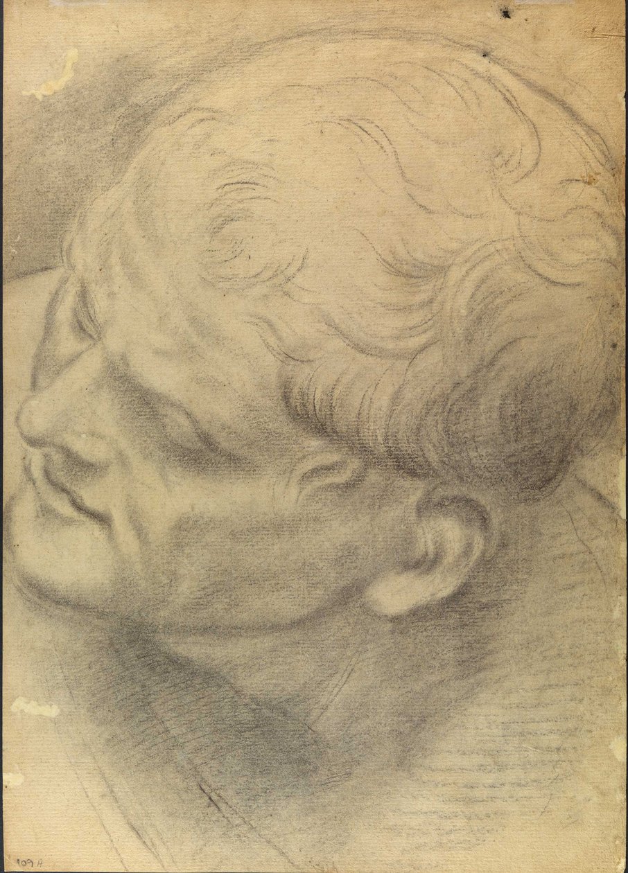 Szkic męskiej głowy widziany z góry autorstwa Domenico Maria Canuti