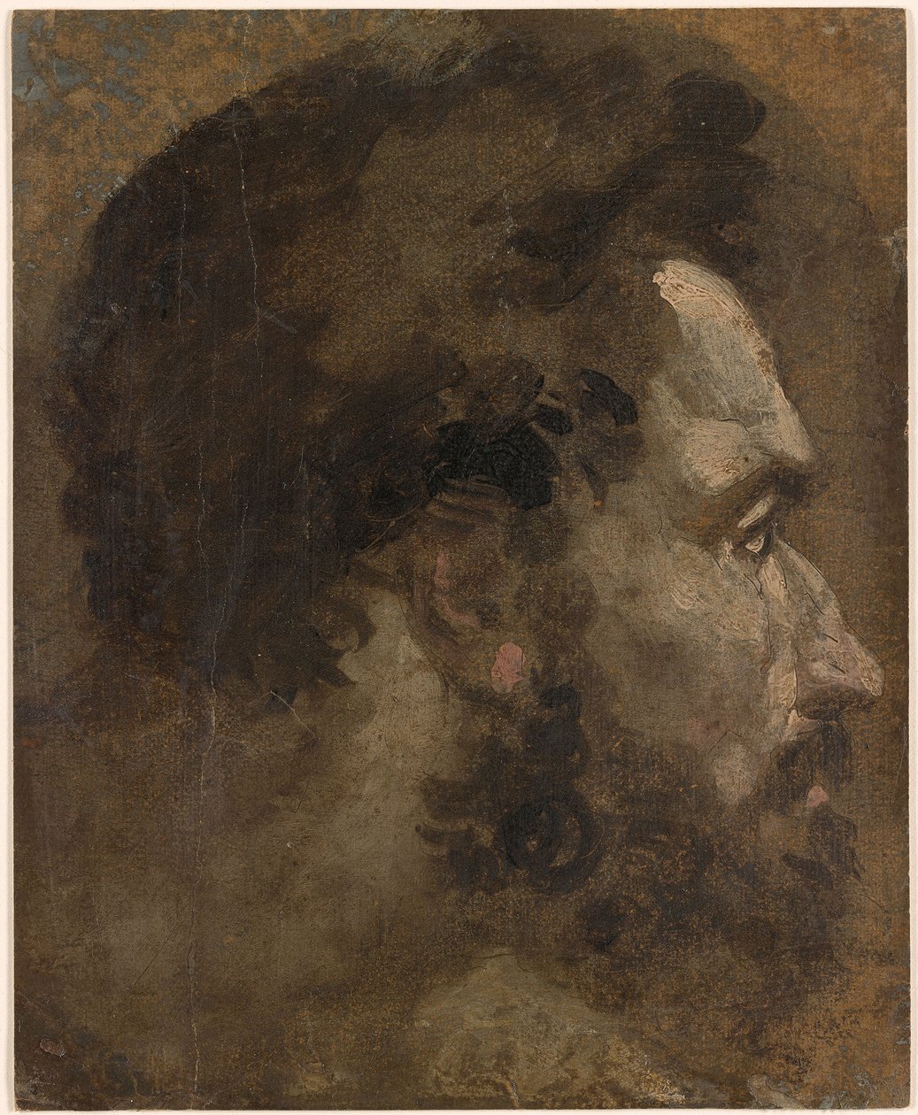 Beccafumi - Głowa brodatego mężczyzny z profilu w prawo, ok. 1530-1535 autorstwa Domenico Beccafumi