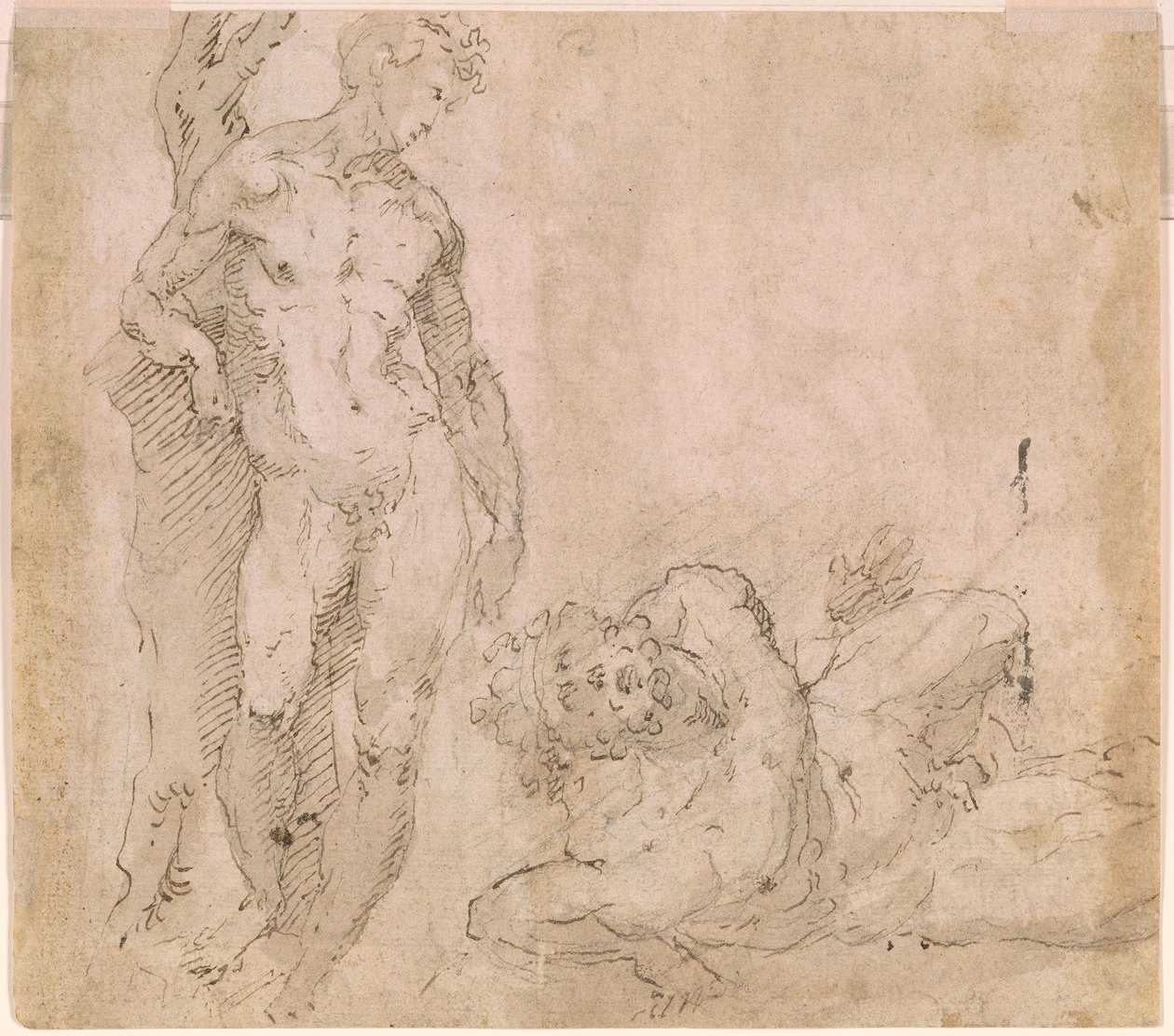 Beccafumi - Verso Akt męski oparty o pień drzewa i leżący Akt męski z głową odrzuconą do tyłu, ok. 1530-1540 autorstwa Domenico Beccafumi