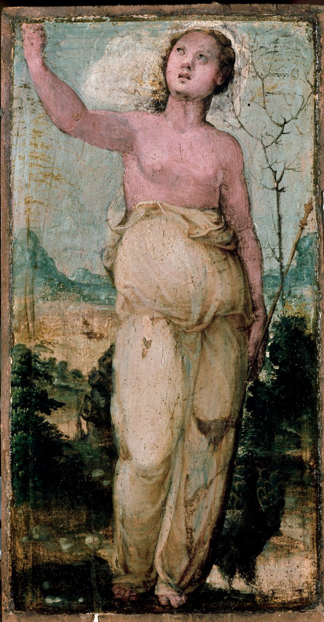 Kobieca postać. Obraz Domenico Beccafumi (1486-1551). Siena, Konserwatorium autorstwa Domenico Beccafumi