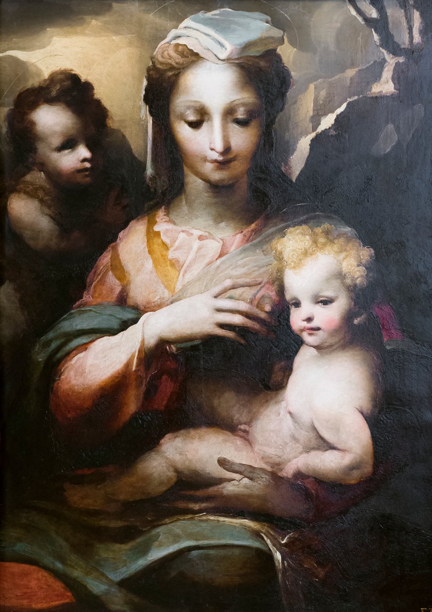 Madonna z Dzieciątkiem z młodym świętym Janem Chrzcicielem autorstwa Domenico Beccafumi