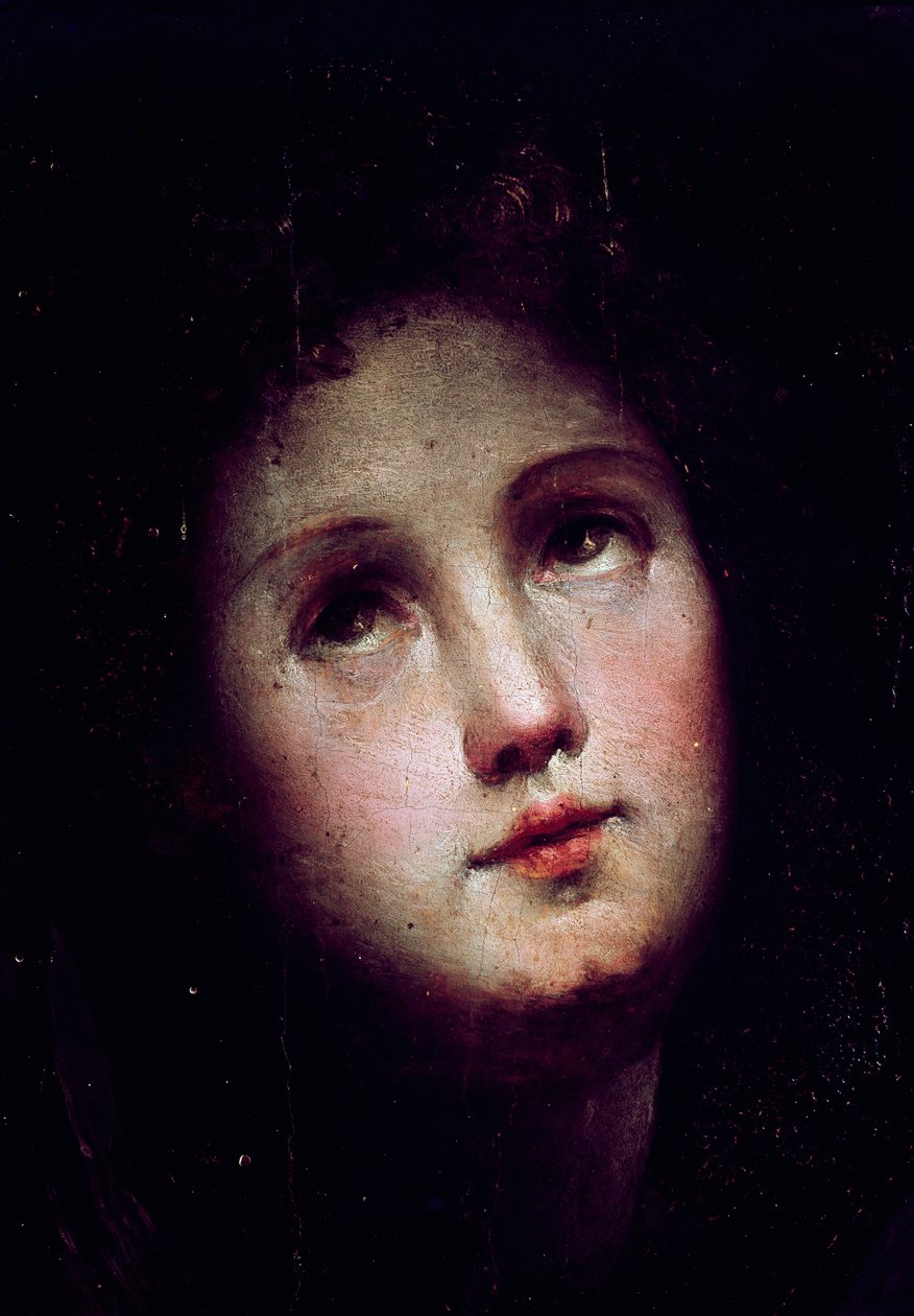 Zejście Chrystusa do otchłani. Detal twarzy młodego mężczyzny pogrąża się w mroku i wpatruje się w niebo. Obraz Domenico Beccafumi (1486-1551) autorstwa Domenico Beccafumi