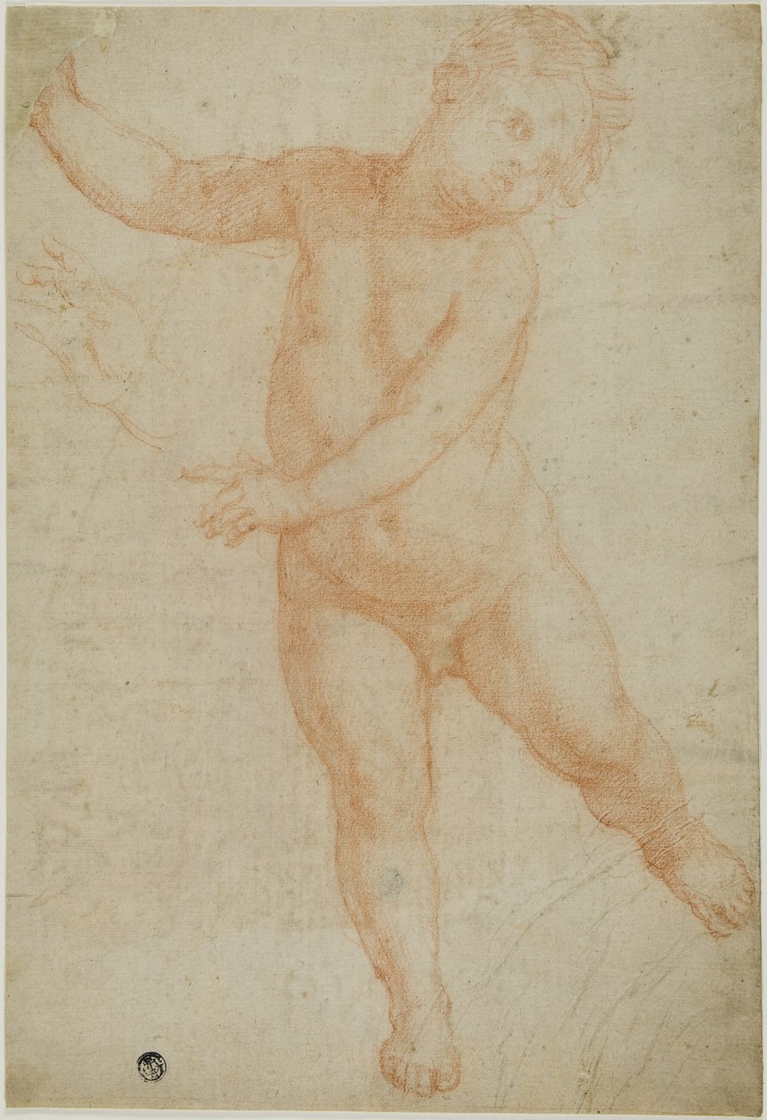 Putto stojący na prawej nodze (recto); Szkic udrapowanego ramienia (verso) autorstwa Domenico Cresti