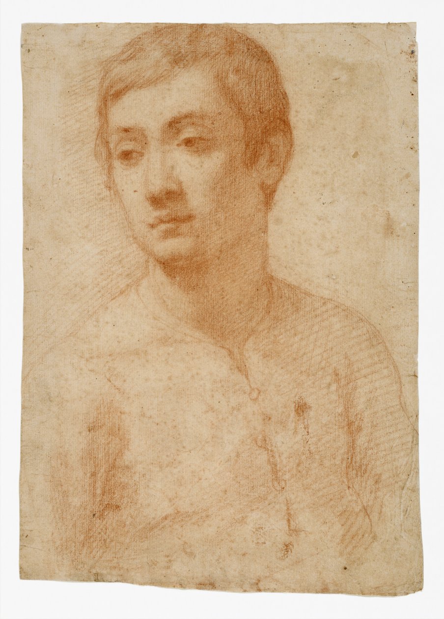 د ځوانانو مشر، c.1600-25 (په ایښودل شوي کاغذ باندې سور چاک) پولی autorstwa Domenico Cresti