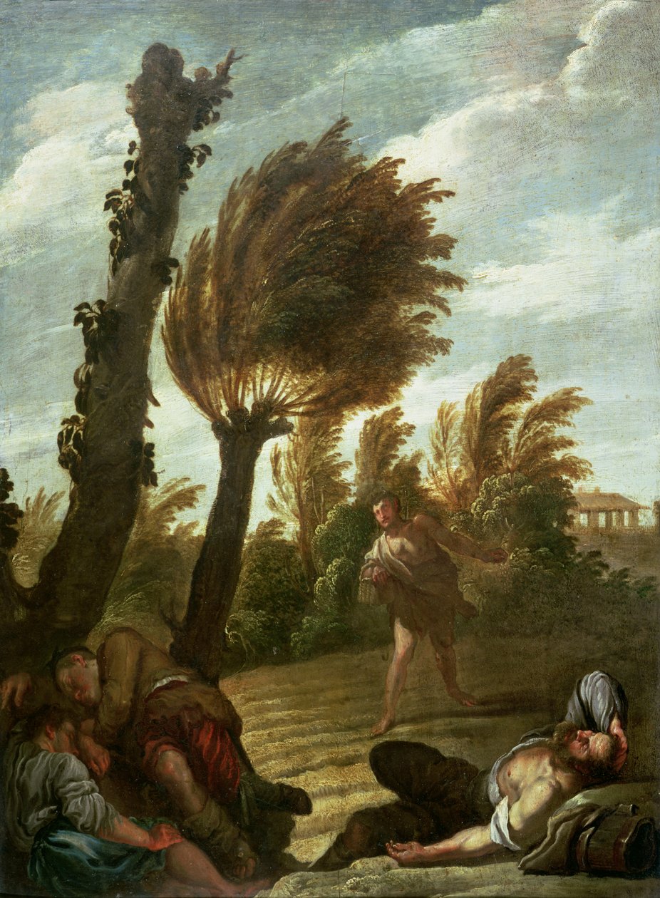 Przypowieść o siewcy kąkolu, ok. 1620-21 autorstwa Domenico Fetti or Feti