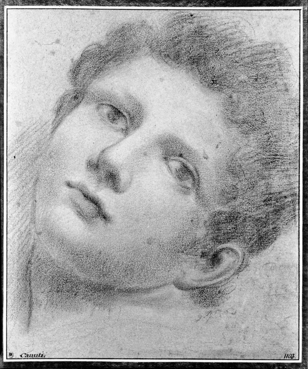 Głowa młodego człowieka, pochylona do tyłu autorstwa Domenico Maria Canuti