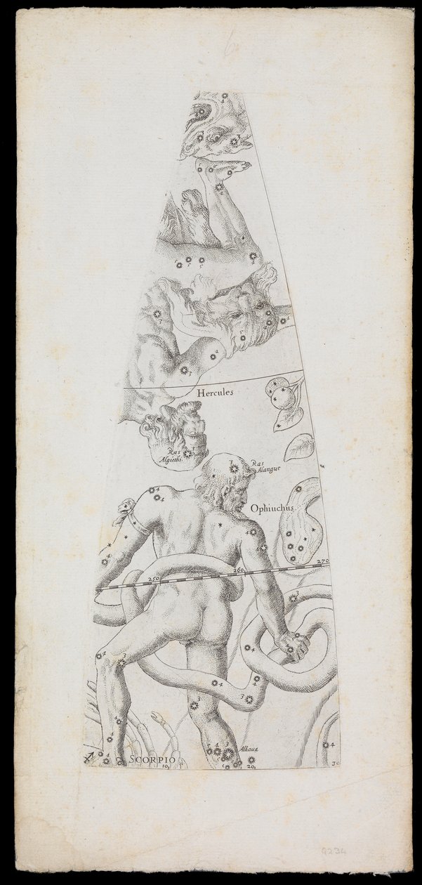 Celestial Globe Gores autorstwa Domenico de