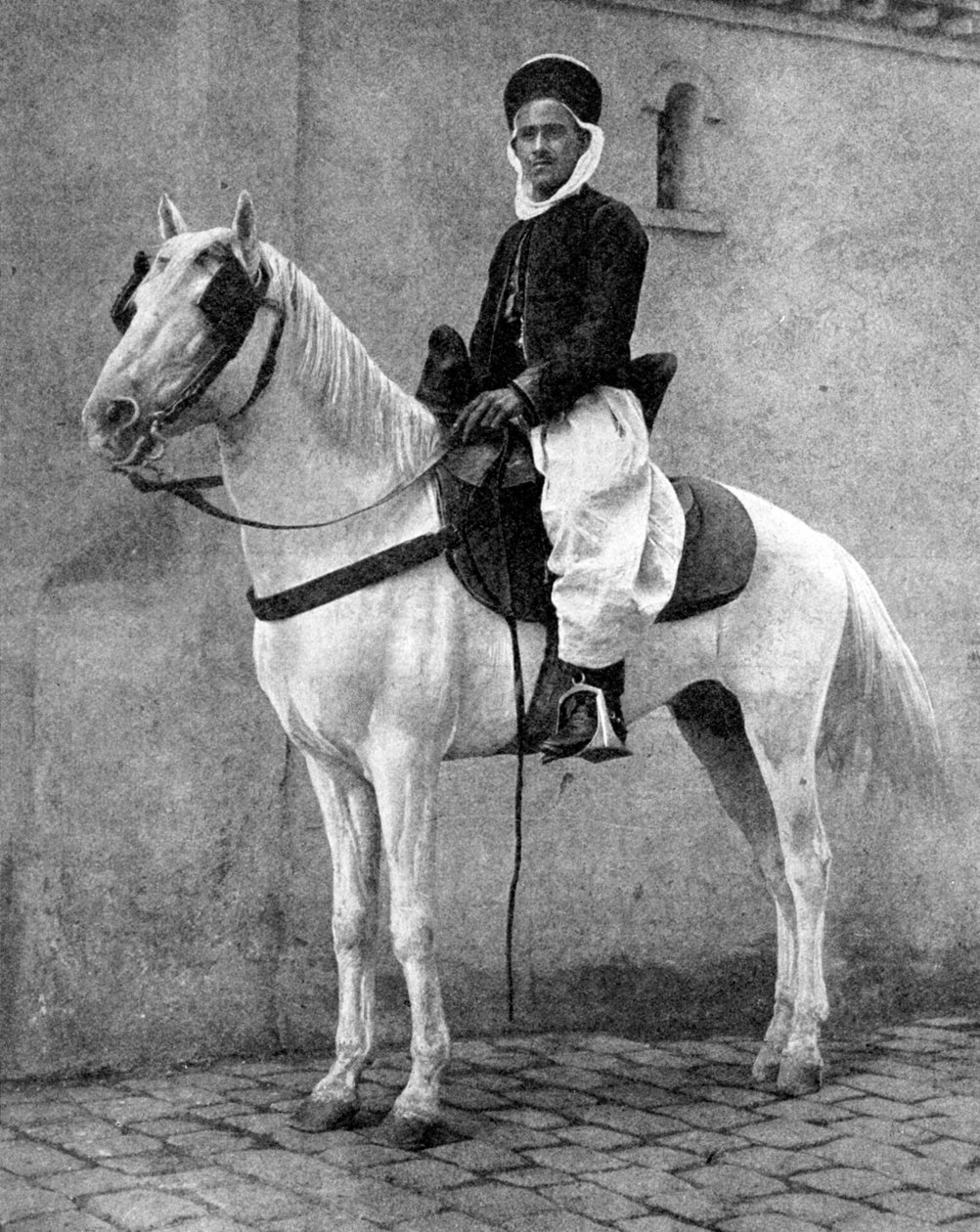 Berberyjski jeździec armii francuskiej, 1936. autorstwa Donald McLeish