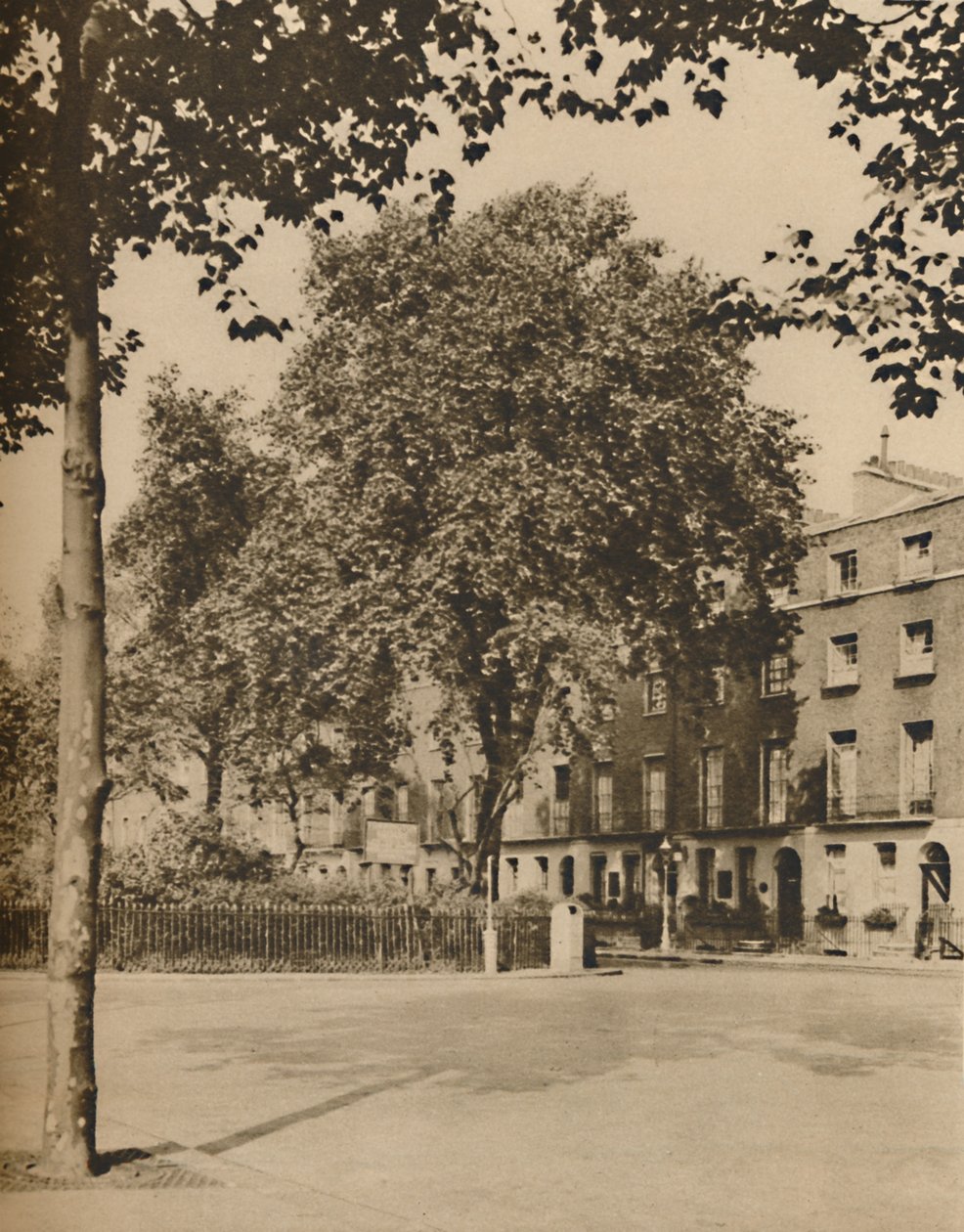 W Pensjonacie: platany z Torrington Square, c1935. autorstwa Donald McLeish