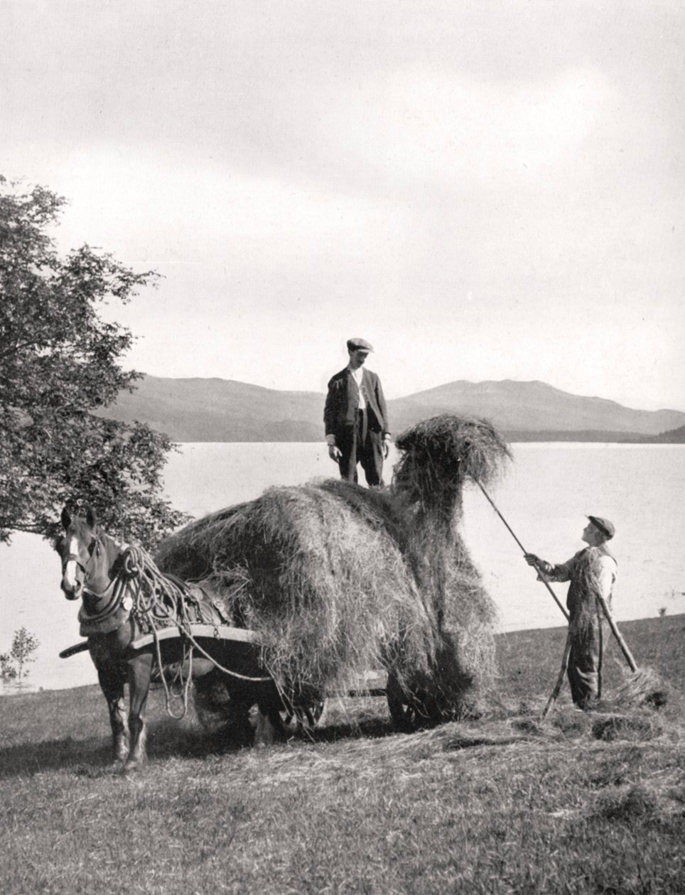Załadunek siana na wóz na brzegu Loch Lomond, Szkocja, 1924-1926. autorstwa Donald McLeish