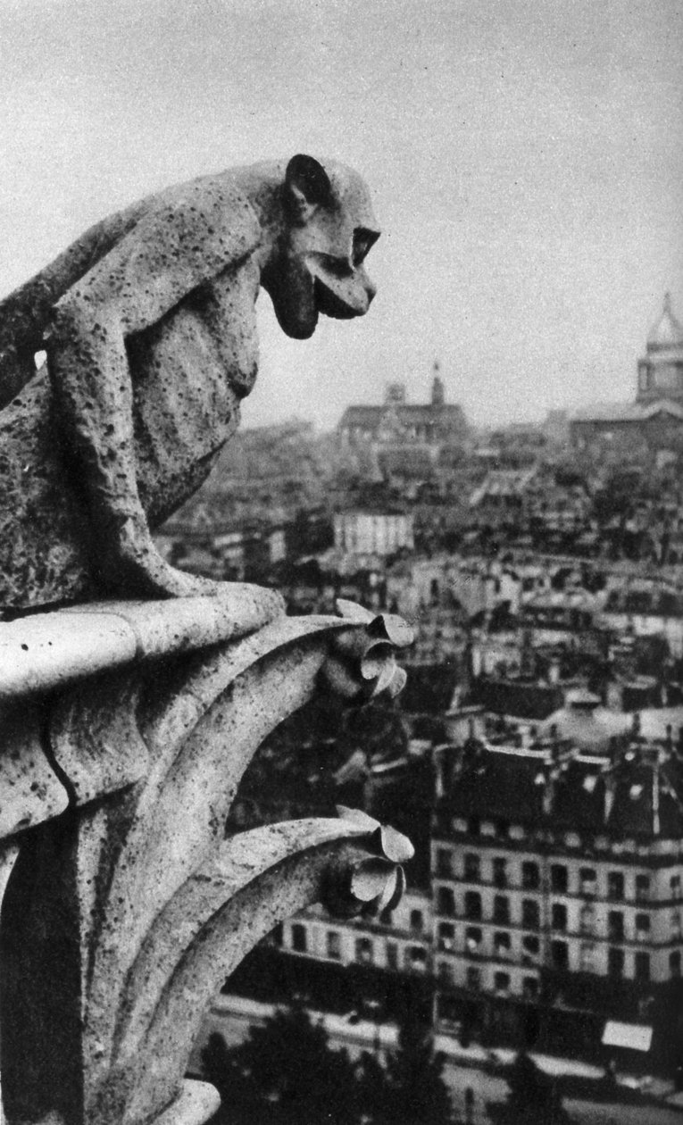 Kamienny demon, Notre Dame, Paryż, Francja, ok. 1930 autorstwa Donald McLeish