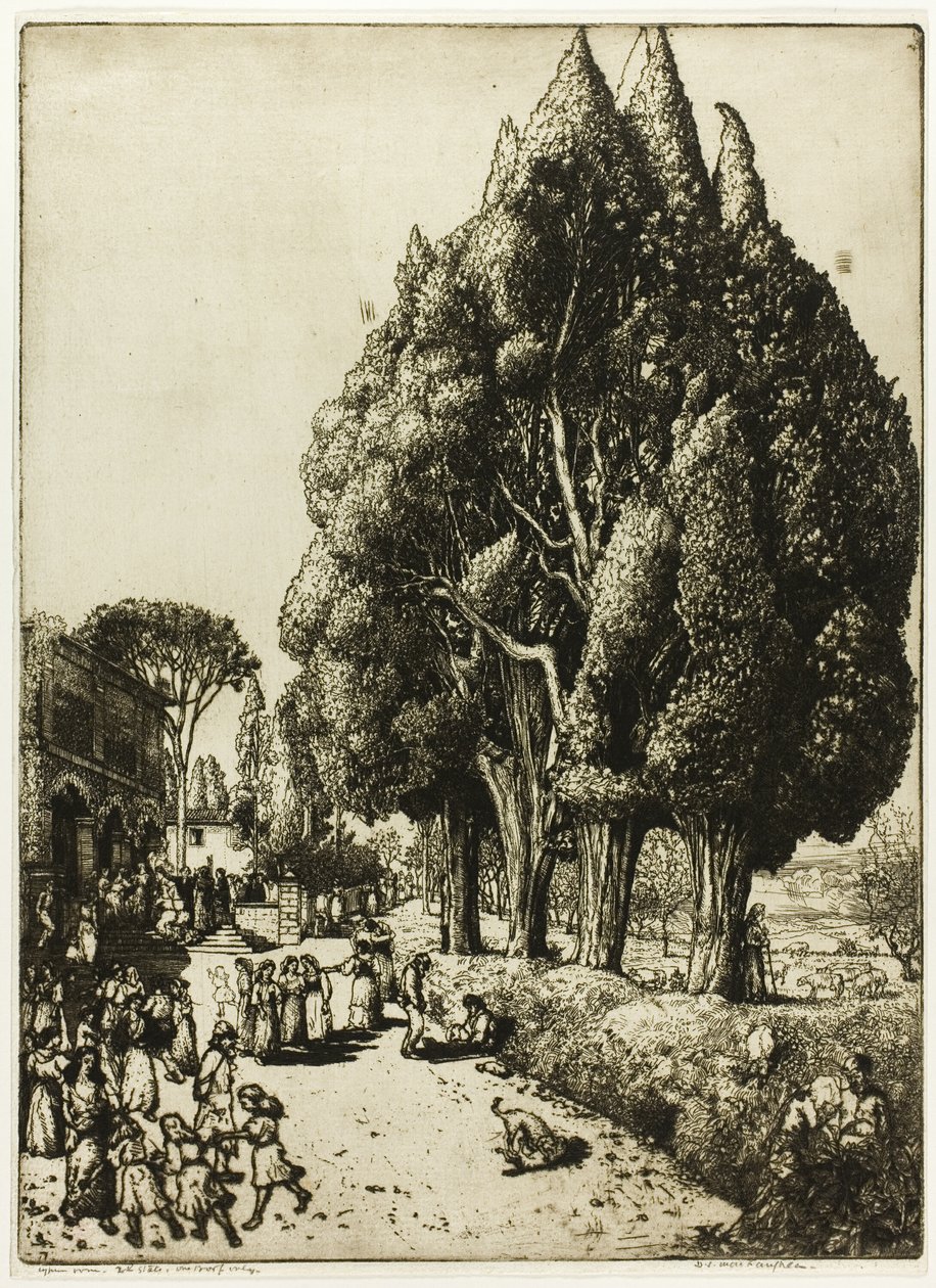 Cyprysowy Gaj autorstwa Donald Shaw MacLaughlan