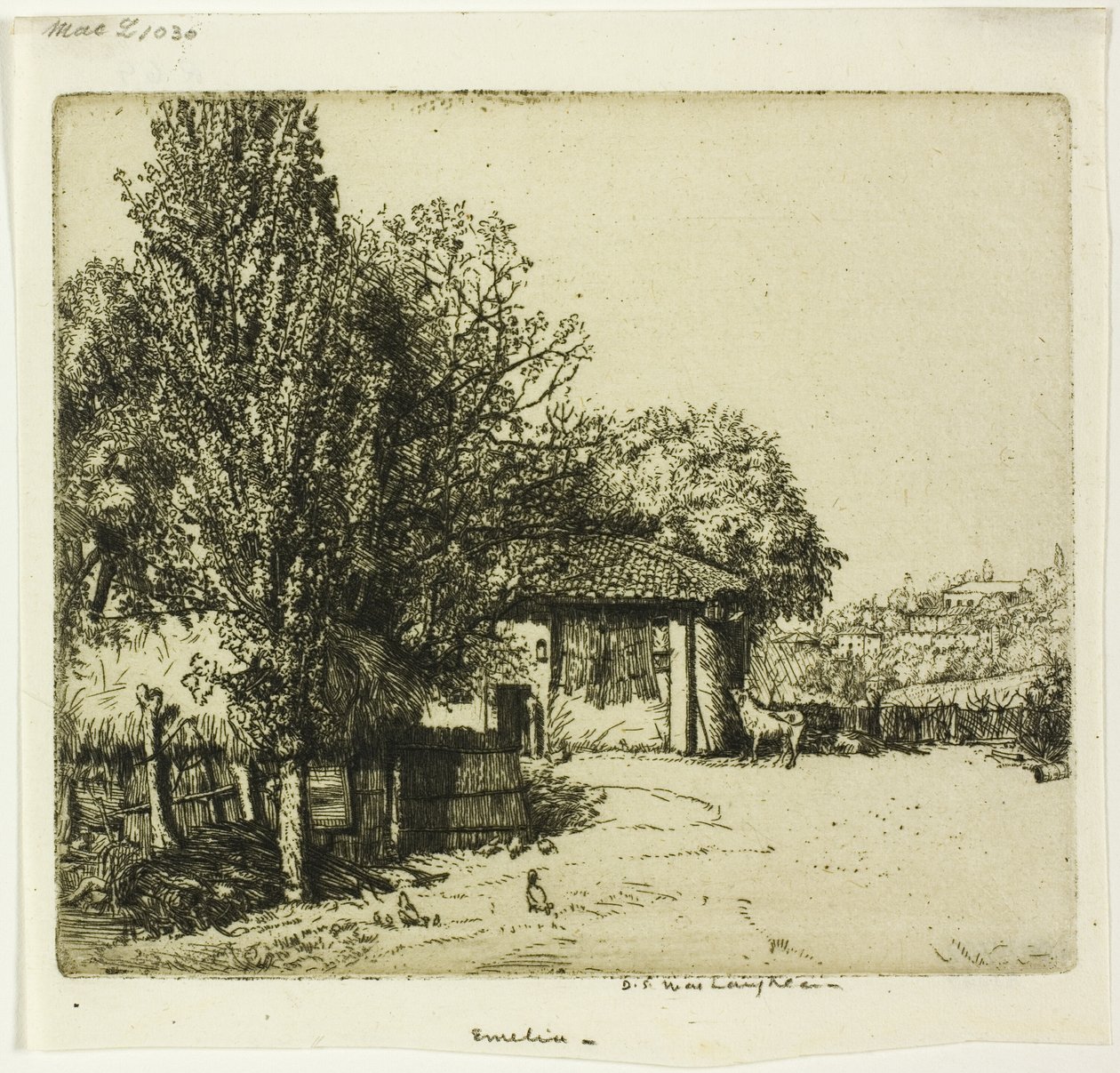 Emelia, Włochy autorstwa Donald Shaw MacLaughlan