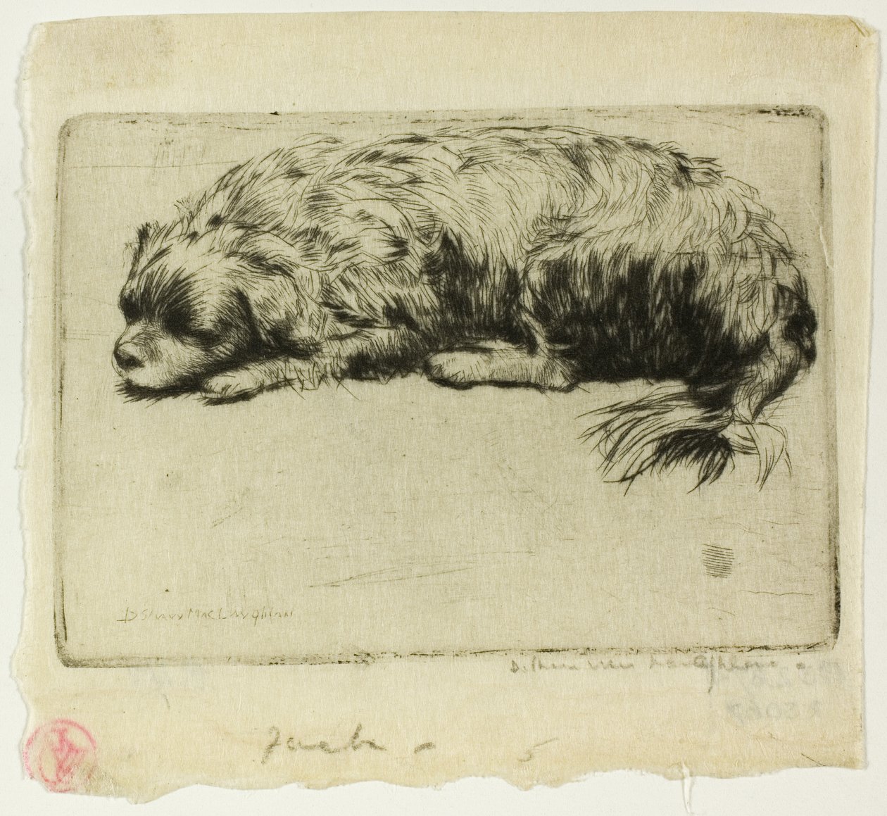 Jacek autorstwa Donald Shaw MacLaughlan