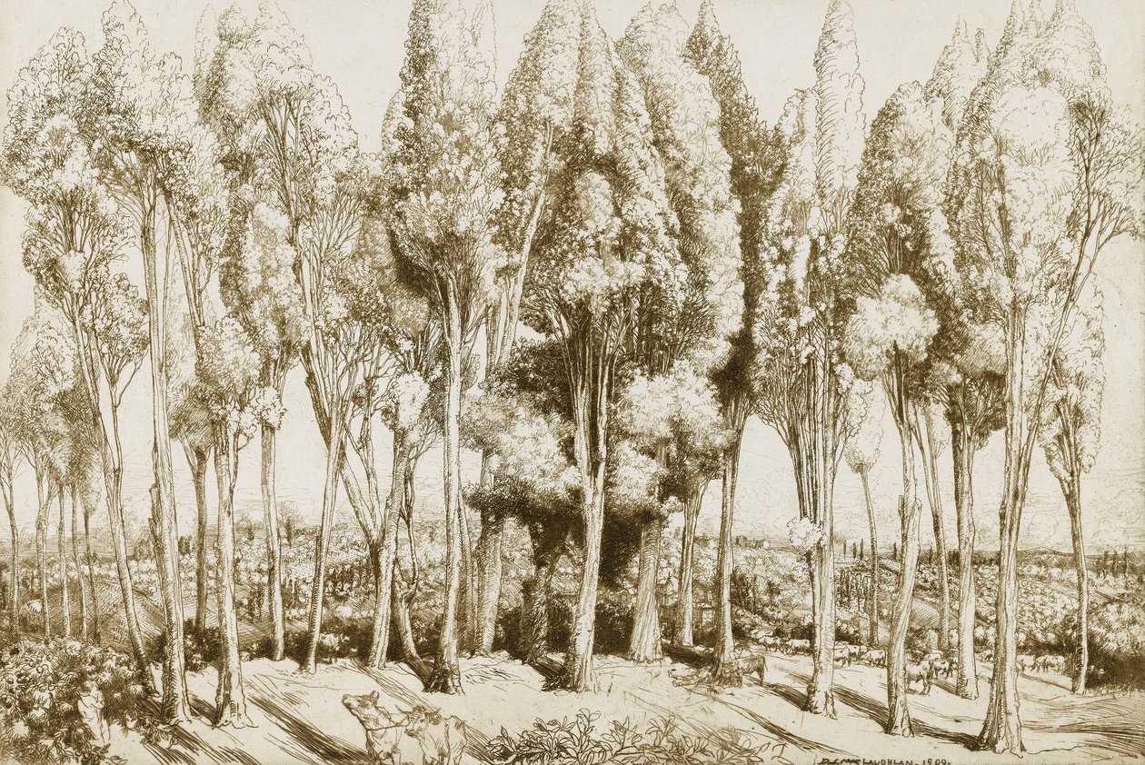 Road Song no. 5 autorstwa Donald Shaw MacLaughlan
