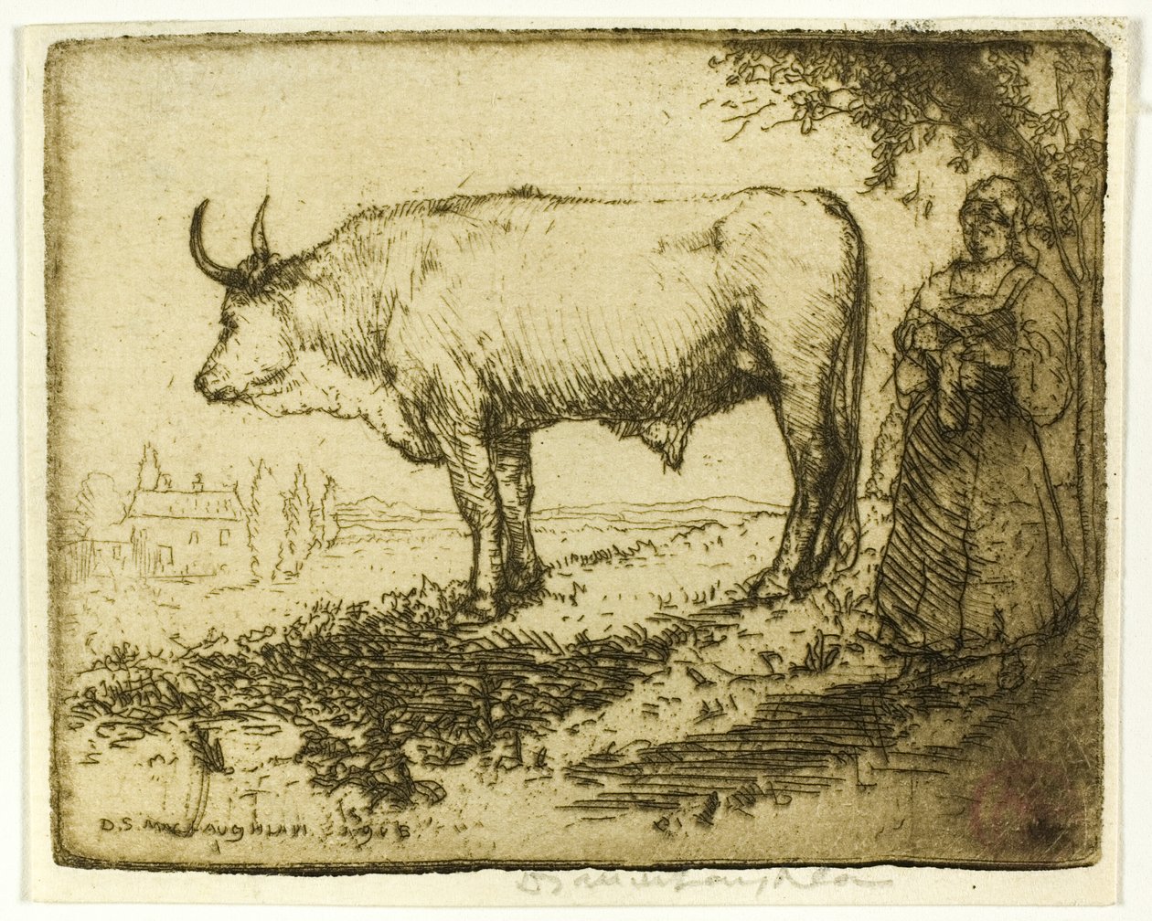Biały Wół autorstwa Donald Shaw MacLaughlan