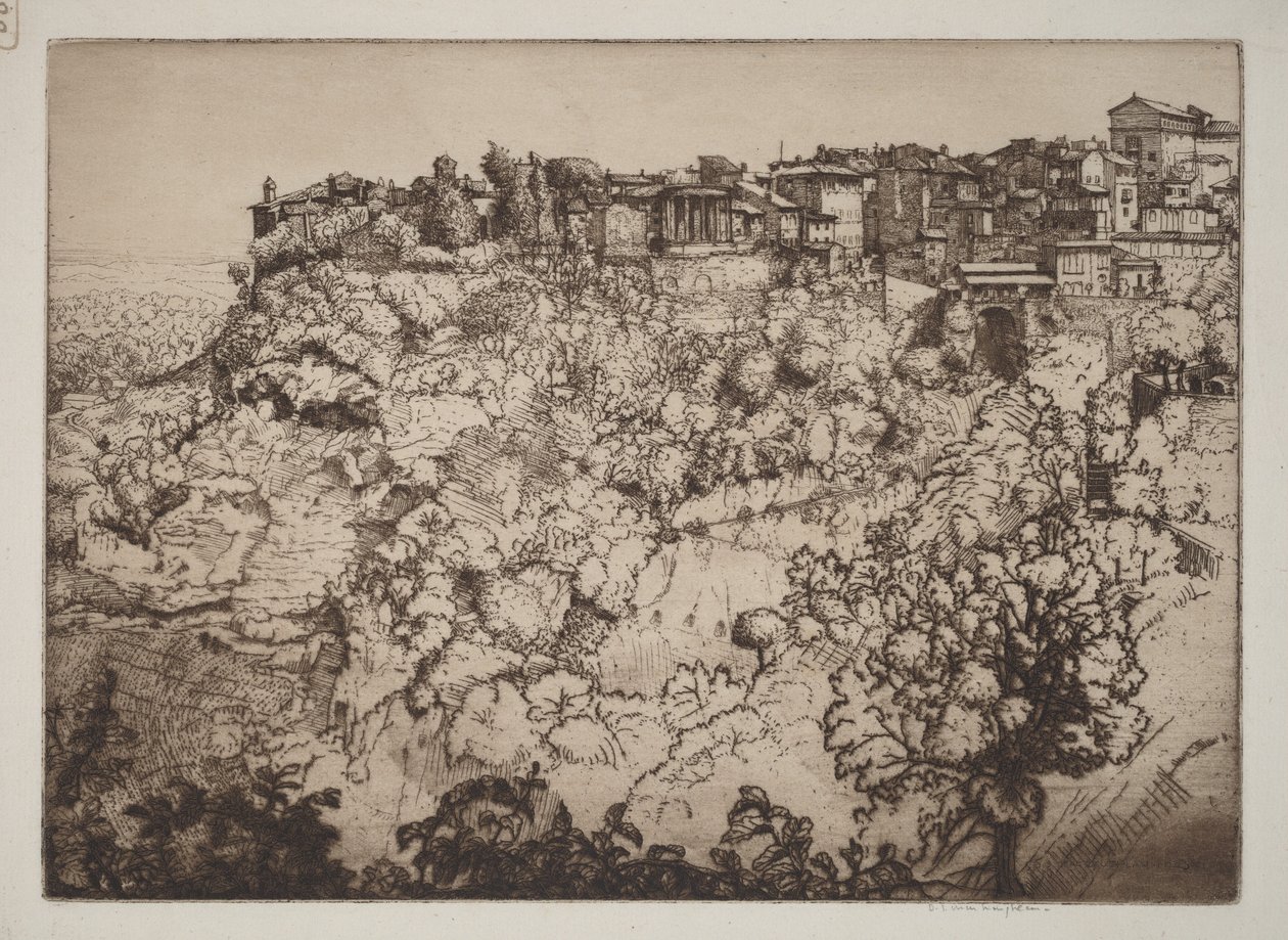 Tivoli autorstwa Donald Shaw MacLaughlan
