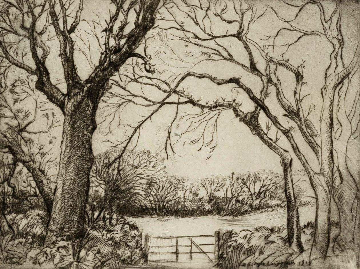Tragenna Wood autorstwa Donald Shaw MacLaughlan