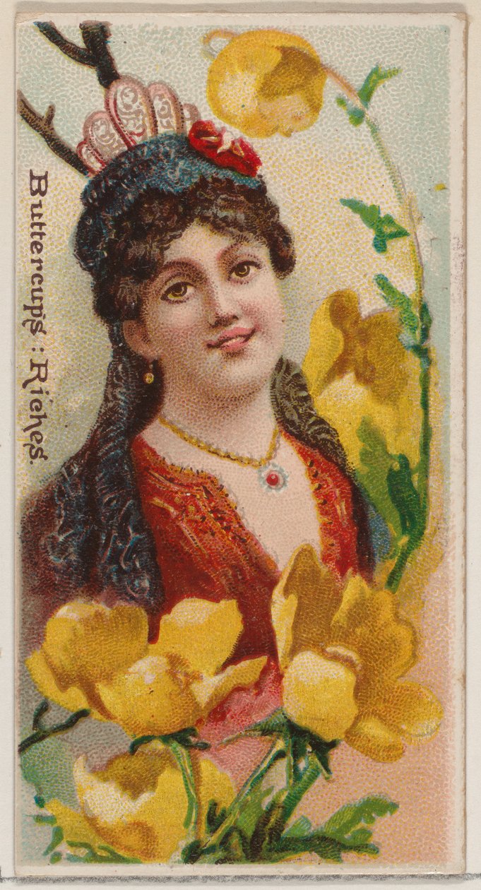Buttercups: Riches, z serii Floral Beauties and Language of Flowers N75 dla Duke..., 1892. autorstwa Donaldson Brothers
