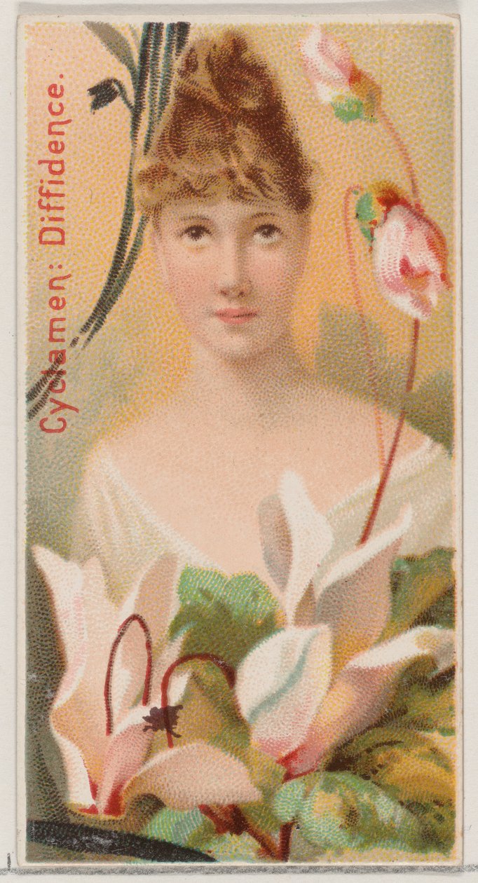 Cyclamen: Diffidence, z serii Floral Beauties and Language of Flowers N75 dla Du..., 1892. autorstwa Donaldson Brothers
