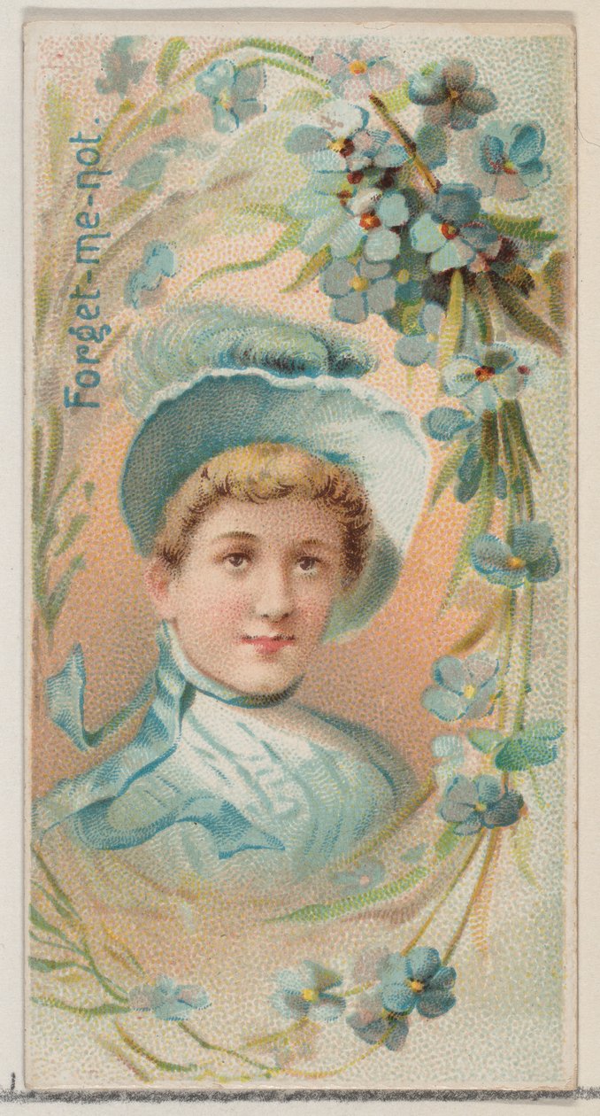 Forget-Me-Not, z serii Floral Beauties and Language of Flowers N75 dla Duke bran..., 1892. autorstwa Donaldson Brothers