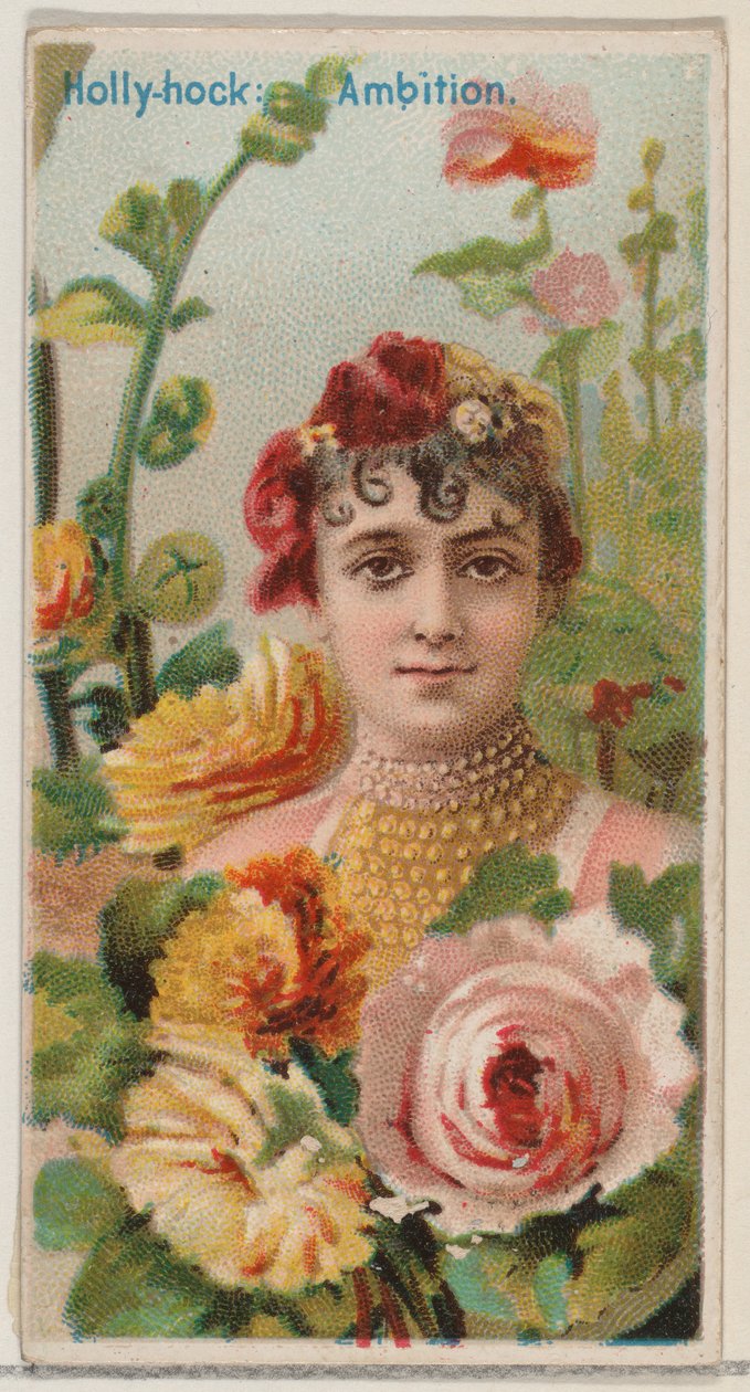 Malwa: Ambicja z serii Kwiatowe piękności i język kwiatów N75 dla Duk..., 1892. autorstwa Donaldson Brothers