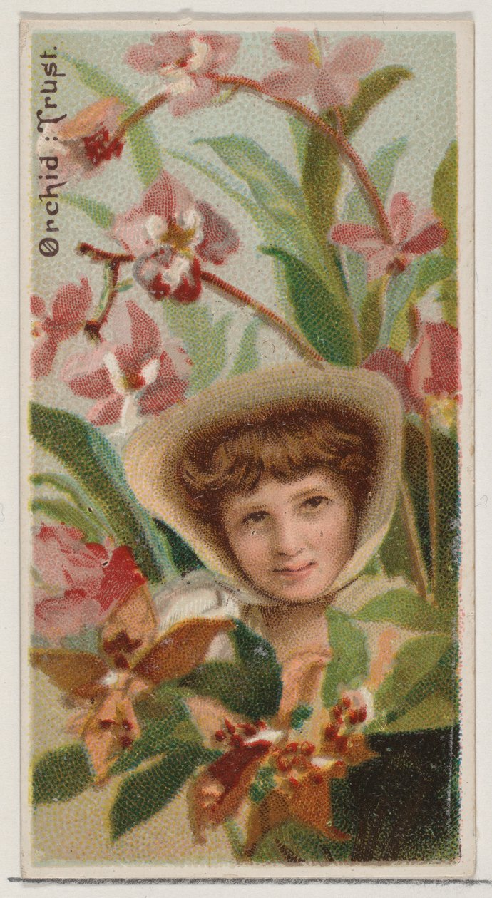 Orchid: Trust, z serii Floral Beauties and Language of Flowers N75 dla Duke bran..., 1892. autorstwa Donaldson Brothers