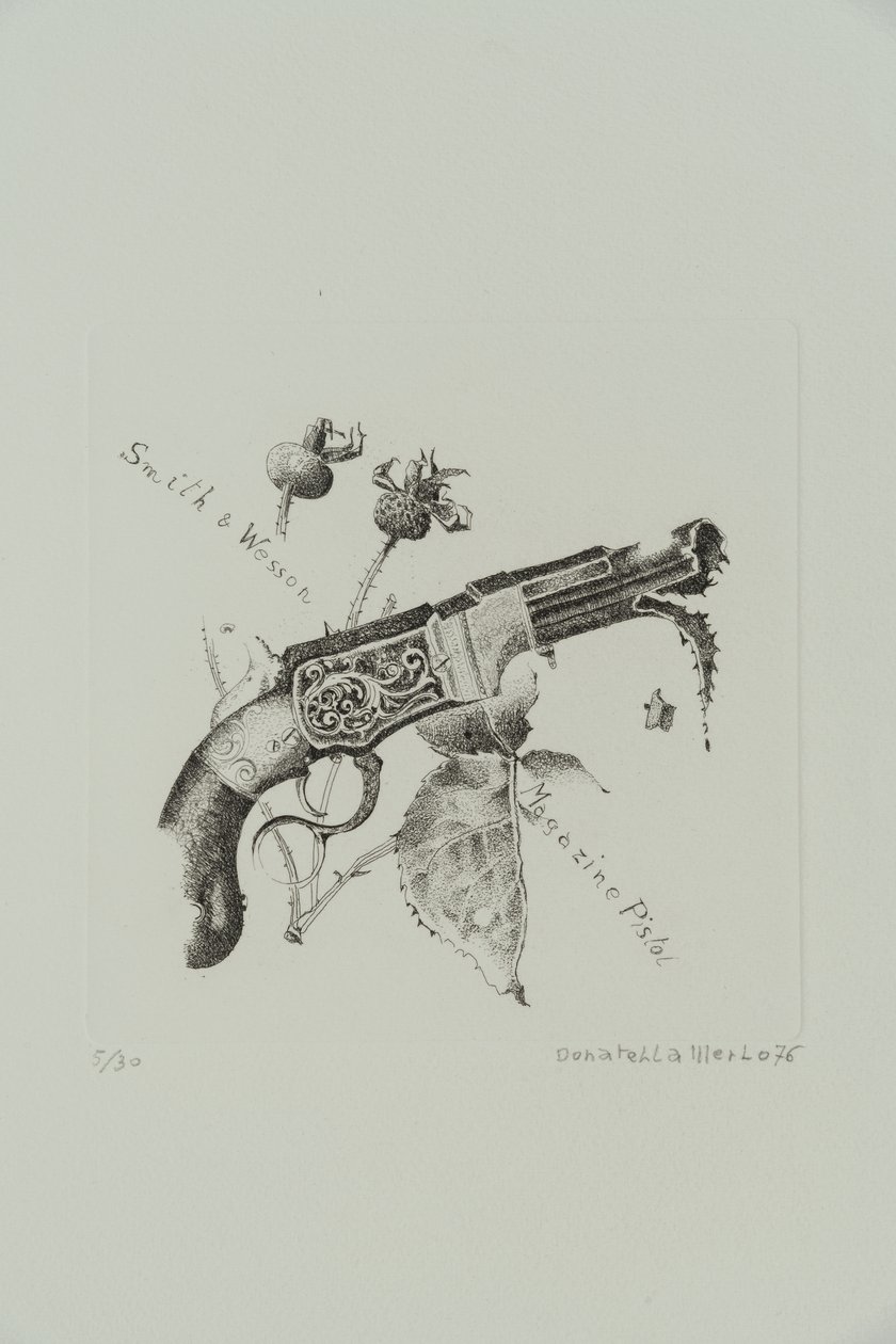 Smith and Wesson Magazine Pistol autorstwa Donatella Merlo
