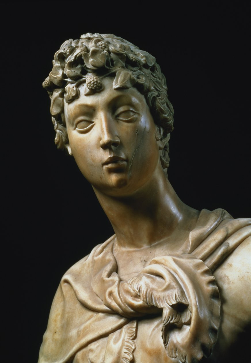 Dawid, detal głowy, 1408 marmurowy detal z 79334 autorstwa Donatello