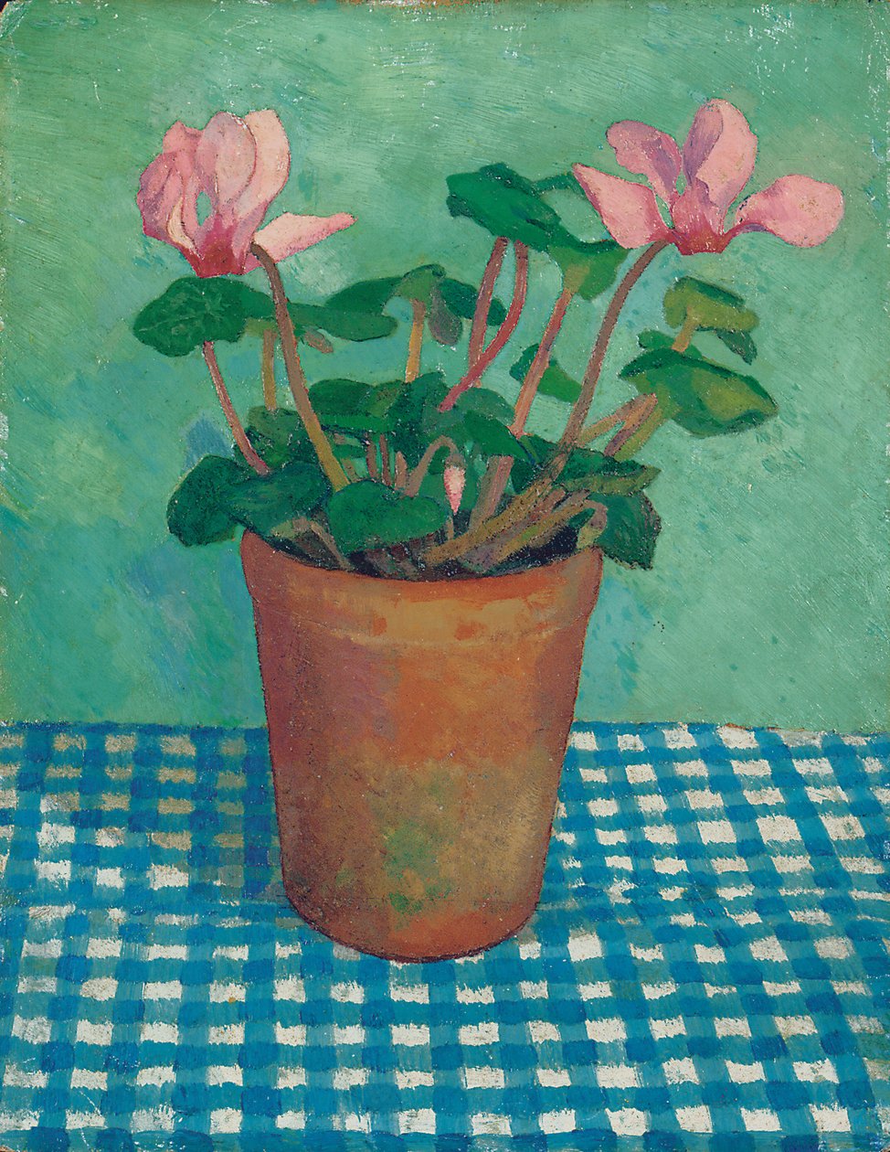 Cyklamen w garnku (olej na pokładzie) autorstwa Dora Carrington