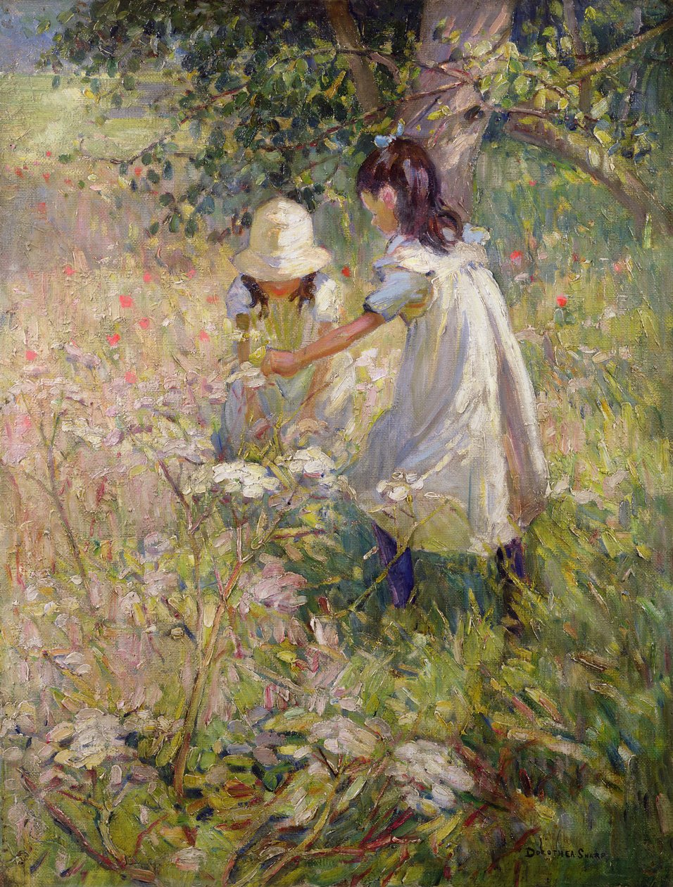  autorstwa Dorothea Sharp