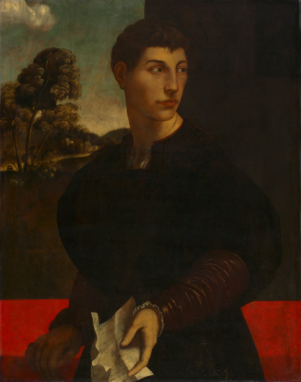 Portret młodzieńca, ok. 1530 (olej i złoto na drewnie) autorstwa Dosso (follower of) Dossi