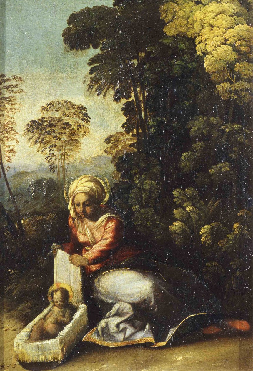 Madonna z Dzieciątkiem La Zingarella, ca. 1513 autorstwa Dosso Dossi
