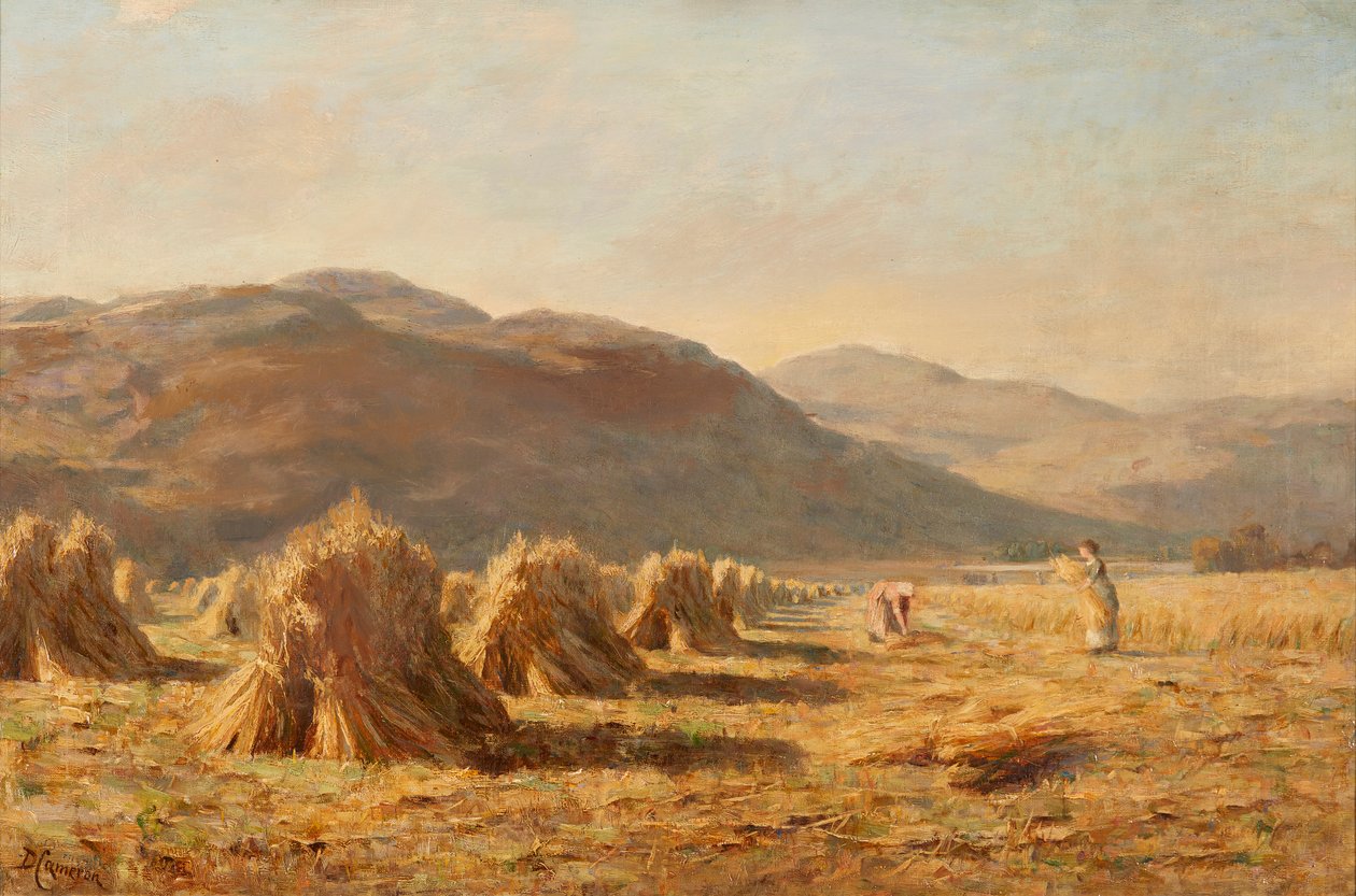 Żniwa w pobliżu Dumyat, Ochil Hills (olej na płótnie) autorstwa Duncan Cameron