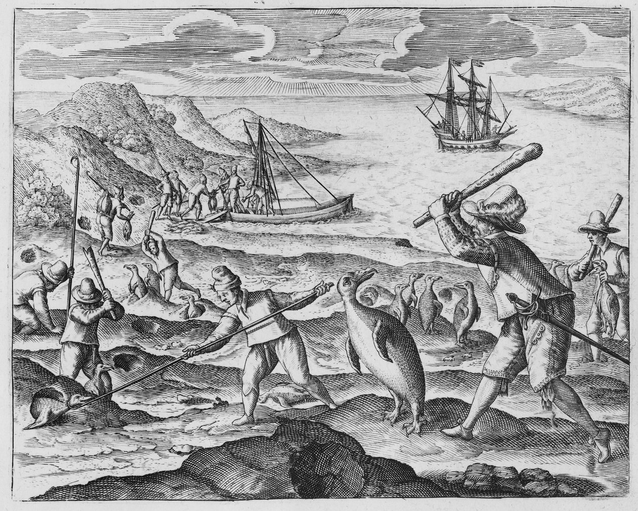 Polowanie na pingwiny, 1598 autorstwa Dutch School