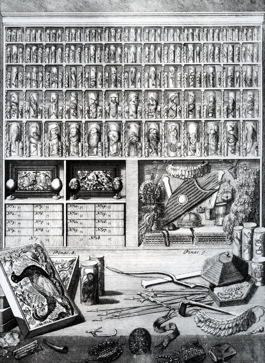 Tablica V z „Elenchus Tabularum” Levinusa Vincenta, opublikowana w 1719 r. autorstwa Dutch School
