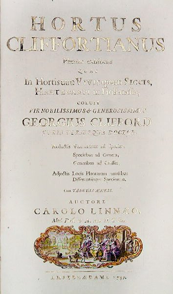Strona tytułowa Hortus Cliffortianus Carla Linneusza (1707-78) Amsterdam, 1737 (druk) autorstwa Dutch School