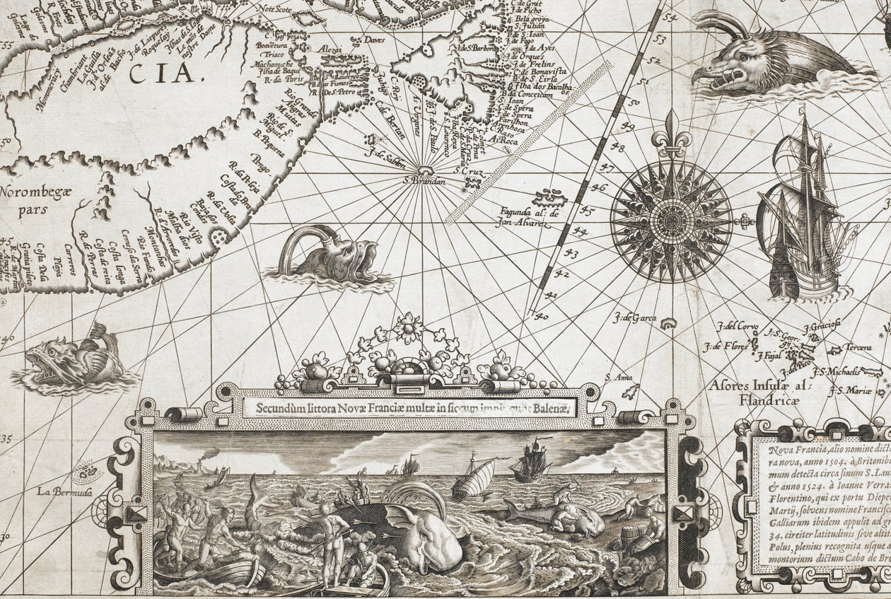 Fragment dwóch staromodnych, przypominających wieloryby potworów morskich i wstawka z bardziej realistycznymi wielorybami, z „Nova Francia, alio nomine dicta Terranova, anno 1504…” autorstwa Dutch School