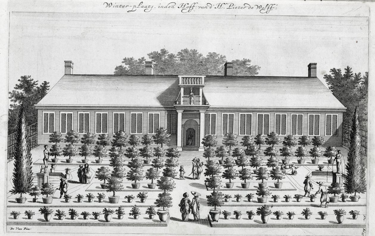 Ogród holenderski, z De Nederlandze Hesperides Jana Commelina, wydany 1676 autorstwa Dutch School