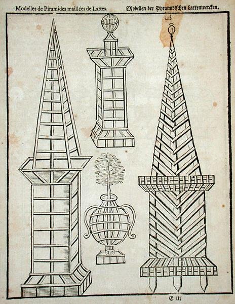 Piramidy kratowe, z "Ogrodnika holenderskiego" Johanna van der Groena, opublikowanego w 1699 r. (rycina) autorstwa Dutch School