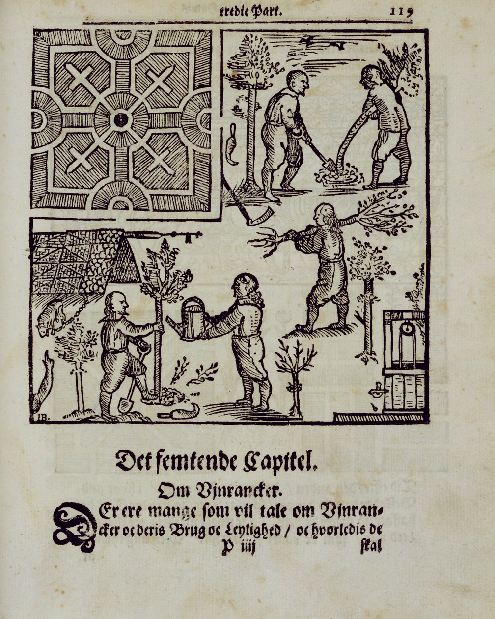 Sadzenie drzew, z książki „Holenderski ogrodnik” Johanna van der Groena, opublikowanej w 1699 r. autorstwa Dutch School