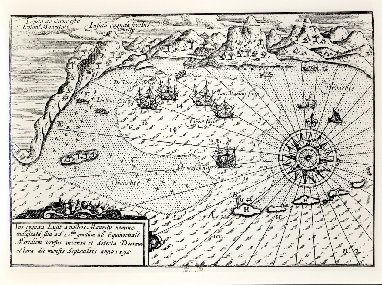 Przybycie wiceadmirała Wybrandta Van Warwijcksa Flotylli do południowo-wschodniego portu Mauritiusa we wrześniu 1598 roku autorstwa Dutch School
