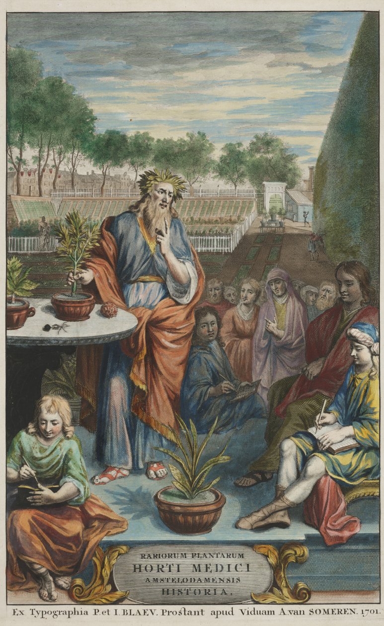 Strona tytułowa z "Horti Medici Amstelodamensis Rariorum Plantarum Historia" vol. II, autorstwa Jana Commelina i Caspara Commelina autorstwa Dutch School